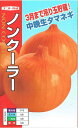 ナント種苗 タマネギ ノンクーラー 20ml【郵送対応】