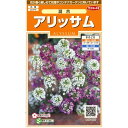 サカタのタネ アリッサム混合 0.3ml【郵送対応】