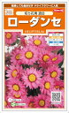 サカタのタネ ローダンセ 切り花用混合 4ml【郵送対応】...