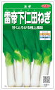 サカタのタネ 雷帝下仁田ねぎ 6.5ml