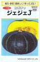渡辺採種場 かぼちゃ ジェジェJ 約15粒 【郵送対応】