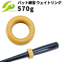 GP (ジーピー) 野球 バット練習用 ウェイトリング トレーニング用 570gの画像