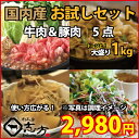 国内産 お試しセット 牛肉&豚肉 5点セット 1kg