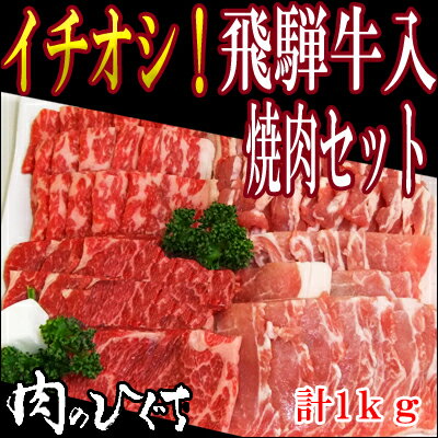 （冷凍）送料無料 飛騨牛＆国産豚肉入りバーベキューセット1kg入り 飛騨牛 カルビ もも・…...:nikunohiguchi:10000218