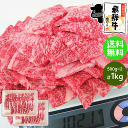 【～4/27 9___59 5％オフクーポン配布】焼肉 肉 飛騨牛 牛肉 カルビ 焼肉用 500g×2メガ盛り 送料無料 合計1kg 1キロ 肉 牛 お肉 1kg まとめ買い カルビ 焼肉 お肉 <strong>焼肉セット</strong> BBQ バーベキューセット バーベキュー 肉 食材 肉 和牛 黒毛和牛 ギガ盛り テラ盛り