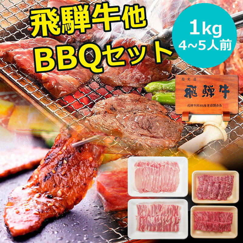 バーベキュー 肉 焼肉 セット 飛騨牛 国産<strong>豚肉</strong> 肉 バーベキューセット 1kg 約4～5人 送料無料 お肉 1kg バーベキュー 食材 セット 焼き肉 焼き肉セット カルビ もも かた 赤身 豚バラ 豚ロース 福袋 詰め合わせ お取り寄せグルメ <strong>高級</strong>