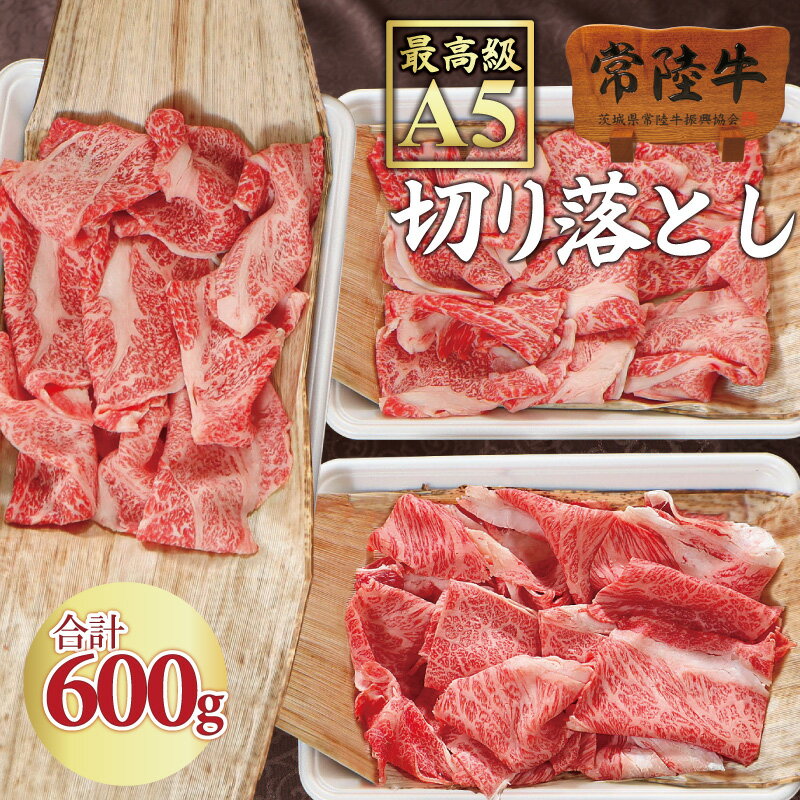 2021ssセール 敬老の日 プレゼント ギフト 肉 食べ物 すき焼き 常陸牛 A5 牛肉 切り落とし 600g お返し 国産 和牛 焼肉 送料無料 すきやき 誕生日 バースデー メッセージカード お中元 残暑見舞い