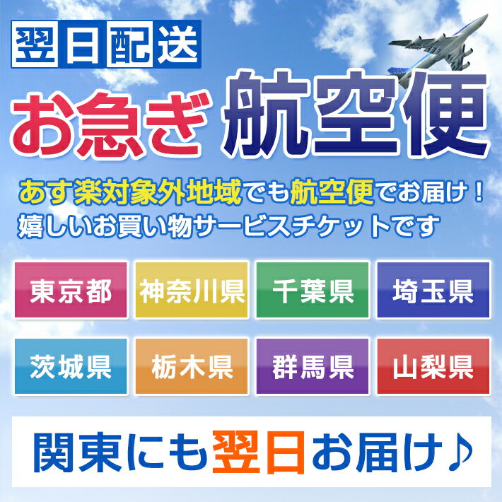 【あす楽対応】【送料無料】【関東でお急ぎの方におすすめ！】翌日配送お急ぎ航空便チケット【東…...:ninas:10000154