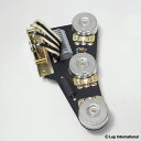 ObsidianWire Traditional Vintage Plus for Strat 250k 0.047uF
