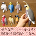 吸盤付き鳥のぬいぐるみ【メール便対応(商品1点につき210円)】【Z-TST】【アニマル雑貨】【動物雑貨】【吸盤付きぬいぐるみ】