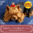【本物そっくりに眠るヨークシャテリア(大)のぬいぐるみ】パーフェクトペット|犬のぬいぐるみ|動くぬいぐるみ|誕生日|クリスマス|プレゼント|ギフト|お見舞い|ペットロス