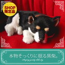 【本物そっくりに眠る黒柴犬のぬいぐるみ】パーフェクトペット|犬のぬいぐるみ|動くぬいぐるみ|誕生日|クリスマス|プレゼント|ギフト|お見舞い|ペットロス