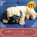 【本物そっくりに眠るパグ(大)のぬいぐるみ】パーフェクトペット|犬のぬいぐるみ|動くぬいぐるみ|誕生日|クリスマス|プレゼント|ギフト|お見舞い|ペットロス