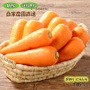 【冷蔵便 送料無料※一部地域を除く】【あやほまれ・C品】新鮮☆自家農園直送☆訳あり に