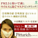 マスコミの取材殺到PM2.5＋防菌・防ウイルスマスクピッタリッチ耳かけゴムタイプ使い捨て【日本製】5枚【メール便】【代引き不可】 超立体形状記憶ワイヤーfs04gm