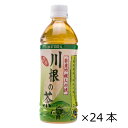 川根茶 ペットボトル 500ml 画像2