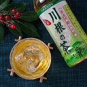 川根茶 ペットボトル 500ml 画像3