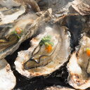 牡蠣 殻付き牡蠣 燻製 広島県産 業者直送 冷凍牡蠣 カキ パーティー 宴会 セット 焼き牡蠣 蒸し牡蠣 有限会社尾崎 広島県
