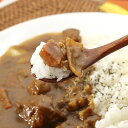 龍泉洞黒豚カレー（フルーツほおずき入り） 画像3