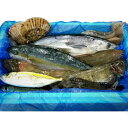 気仙沼 漁師さんの鮮魚セット〔約3~5kg※漁獲種類により異なります〕 一般社団法人 Fish Market 38 宮城県