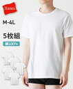 ヘインズ メンズ 綿100% 丸首 半袖 インナー 5枚組 M/L ニッセン nissen