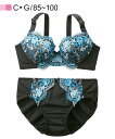 ブラジャー&ショーツセット 花柄ブラジャー・ショーツセット(ラージサイズ) ニッセン nissen