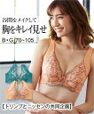 ブラジャー トリンプ バストをきれいに見せるフルカップブラジャー【十人十適】 ニッセン nissen