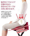 仙骨 クッション 仙律 ヘルスケア ネイビー/ルビー ニッセ...