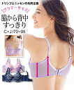 ブラジャー ワイヤー入り レディース 脇背中高い フルカップ リッチフラワー柄 ( トリンプ ) クリーム×ラベンダー~黒 C70~F85 ニッセン