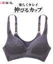 ブラジャー よく伸びる チェック柄アンダーメッシュハーフトップ ニッセン nissen