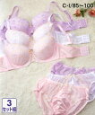 ブラジャー&ショーツセット ハートドロップ刺しゅうブラジャー・ショーツセット3枚セット組(ラージサイズ) ニッセン nissen