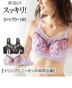 ブラジャー ワイヤー入り レディース グラマーバストを深く包んで持ち上げるフルカップ トリンプ ラベンダー/黒 E70~F80 ニッセン