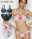 ブラジャー ショーツ セット 大きいサイズ レディース フラワーキュート レース ブラック/ホワイト B85_LL~F80_L ニッセン