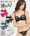 ブラジャー ショーツ セット レディース ヌード レース 3点セット Tバック ブラック/ブルー/ホワイト E70_M~F80_L ニッセン