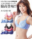 ブラジャー ワイヤー入り 大きいサイズ レディース 脇高編 レース 3枚組 エレガント系/フェミニン系 C85~E95 ( トリンプ ) ニッセン nissen