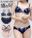 ブラジャー ショーツ セット レディース クラシカル ネイビー/ピンク G70_M/G75_L/G80_L/H75_L/H80_L ニッセン