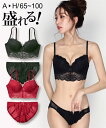 ブラジャー ショーツ セット レディース エレガント 総レース ブラック/レッド G70_M/G75_L/G80_L/H75_L/H80_L ニッセン nissen