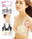 ブラジャー ワイヤー入り レディース 超脇高総 レース 透かし アイボリー/黒 E70~F80 ニッセン nissen