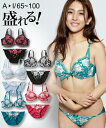 ブラジャー ショーツ セット レディース カメオローズ 刺し...