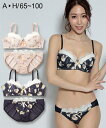 ブラジャー ショーツ セット 大きいサイズ レディース フラワー プリント ネイビー/ピンクベージュ G85_LL~H100_5L ニッセン
