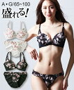 ブラジャー ショーツ セット レディース エトゥ オリエンタルポピー シフォン ブラック/ホワイト G70_M/G75_L/G80_LL/G85_3L ニッセン nissen