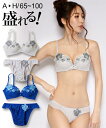 ブラジャー ショーツ セット レディース ローズ 刺しゅう レース グレー/ブルー E70_M~F80_L ニッセン