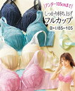 ブラジャー ワイヤー入り 大きいサイズ レディース バスト しっかり包む フルカップ 編みレースタイプ アイボリー系/グリーン系/ライラック系/黒系 B85~D95 ニッセン