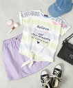 Tシャツ カットソー 裏面 ボーダー プリント 裾しぼり 半...