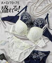 ブラジャー ショーツ セット レディース マルチカラー リリー レース ネイビー/ホワイト A70_M~D75_M ニッセン