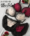 ブラジャー ショーツ セット レディース エレガントローズ×サイドギャザー デザイン ベージュ/ワイン A70_M~D85_LL ニッセン