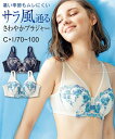 ブラジャー ワイヤー入り 大きいサイズ レディース グラマーサイズ 脇高 背中すっきり さわやか チュール レース フルカップ 穴あきカップ アイボリー系/ネイビー系 C85~F100 ニッセン