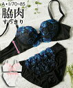 ブラジャー ショーツ セット レディース 脇高 バック U字 ファンタスティックフラワー ネイビー/ホワイト D70_M~F85_LL ニッセン