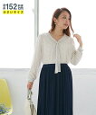 小さいサイズ レディース シフォン 長袖 ボウタイ ブラウス 裏起毛 カットソー 裏地 オフ/ドット SS/S/M/L ニッセン nissen