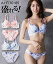 ブラジャー ショーツ セット レディース 大花柄 シフォン プリント × ストレッチ レース パープル/ピンク E70_M~F85_LL ニッセン nissen